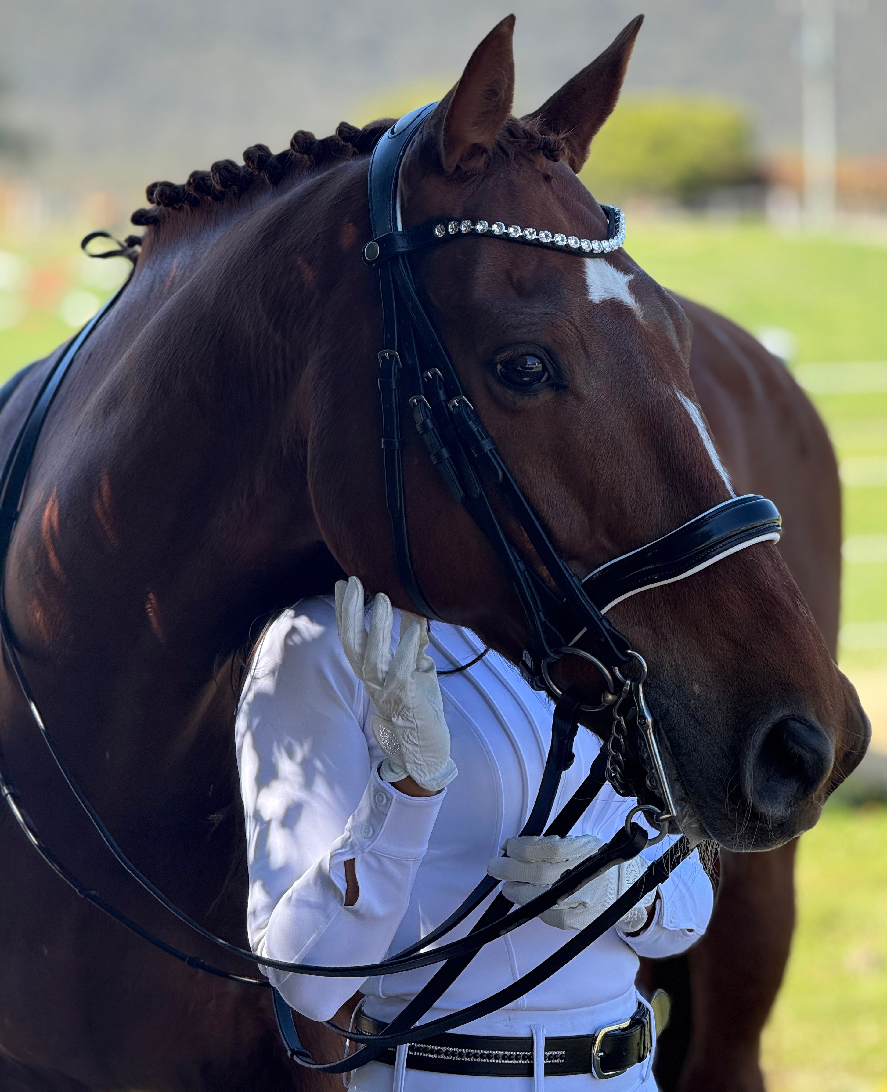 Weymouth Dressage Bridle with white trim piping | Black Leather